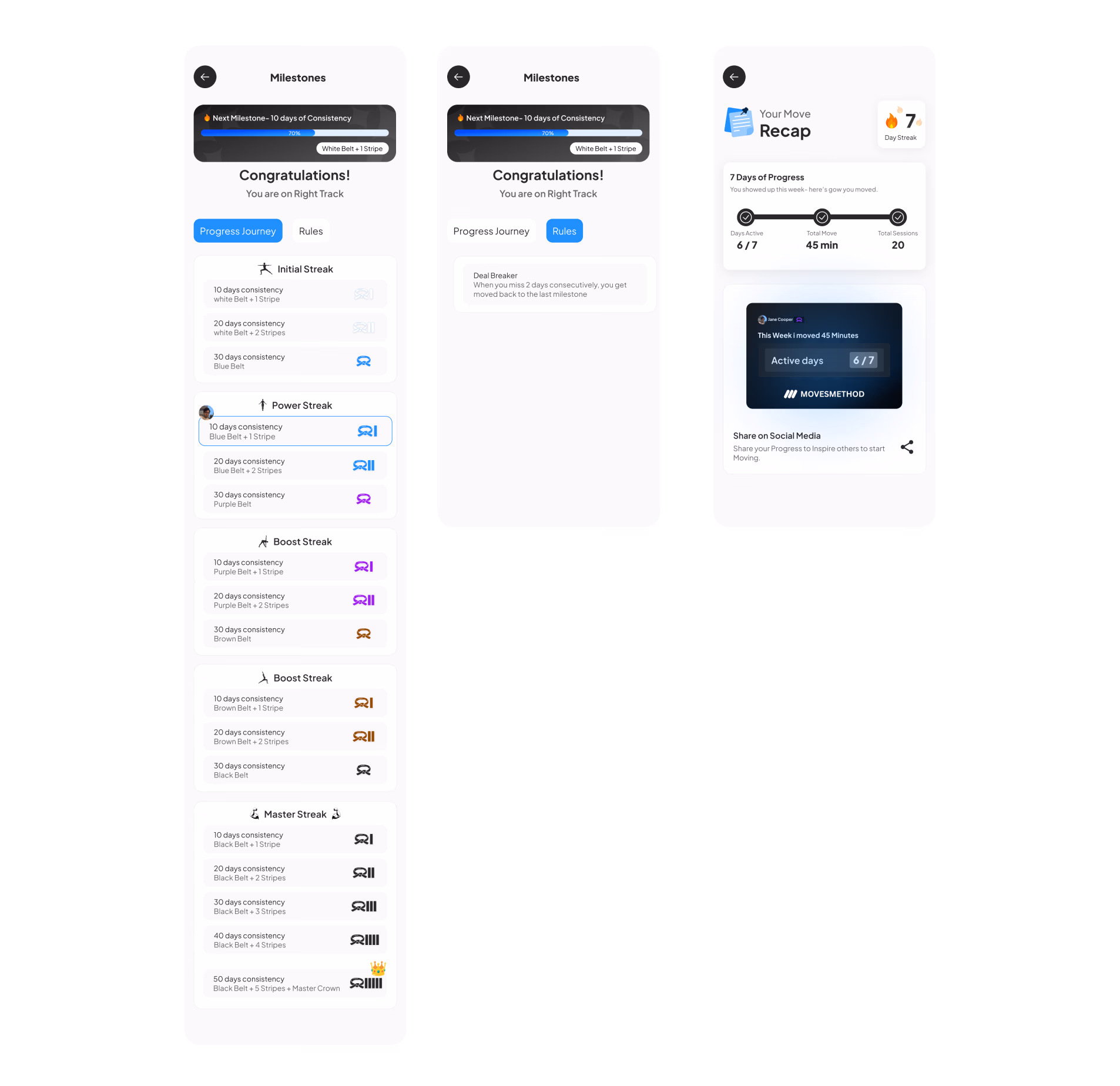 Before — Belt system with mixed metaphors
